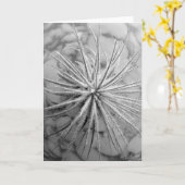 Tillandsia tectorum kaart (Gele Bloem)