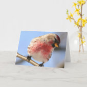 Tilting Redpoll Kaart (Gele Bloem)