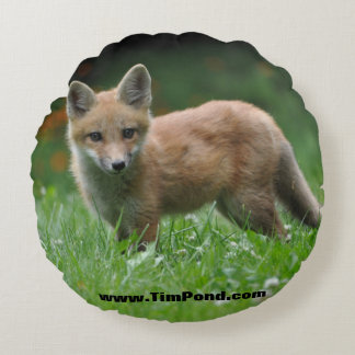 Tim Pond Wilderness Camps Sierkussen Rond Kussen