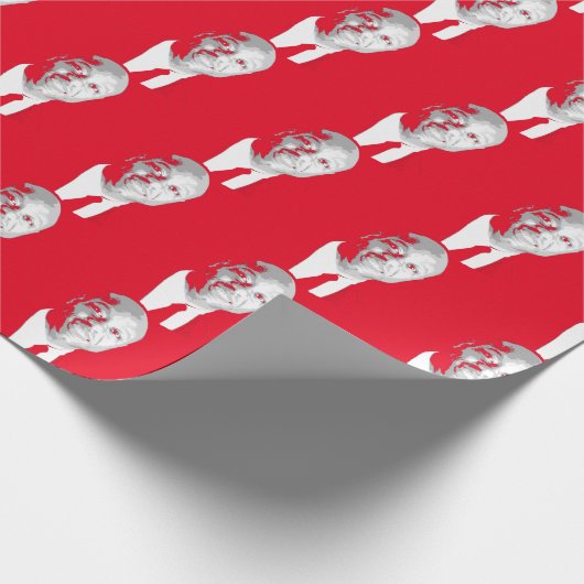 TIM SCOTT CADEAUPAPIER (Hoek)