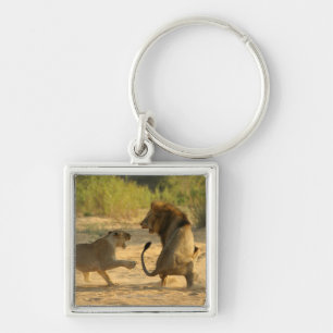 Timbavati, Nationaal Park Kruger, Limpopo Sleutelhanger
