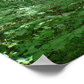 Timber Creek Natuur Center Poster (Hoek)