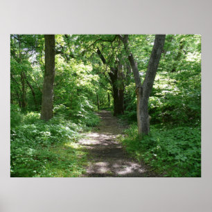 Timber Creek Natuur Center Poster