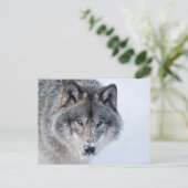 Timber Wolf Briefkaart (Staand voorkant)