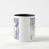 Timber Wolf, Canis lupus, Movie Animal Utah) Mok (Midden)