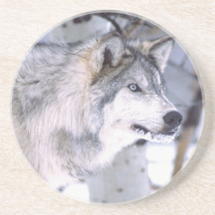 Timber Wolf, Canis lupus, Movie Animal Utah) Zandsteen Onderzetter