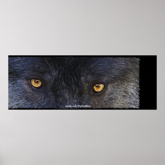 Timber Wolf Eyes Wildlife Foto Art Poster (Voorkant)