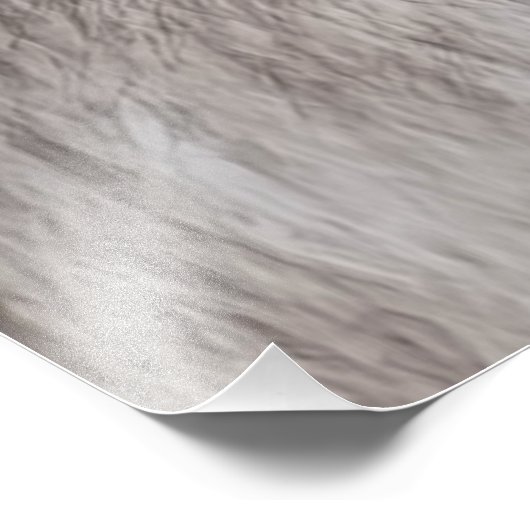 Timber Wolf Foto Afdruk (Hoek)