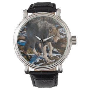 Timber Wolf Horloge
