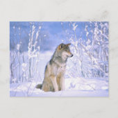 Timber Wolf in de sneeuw, Canis lupus, Briefkaart (Voorkant)