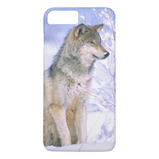 Timber Wolf in de sneeuw, Canis lupus, Case-Mate iPhone Case (Achterkant)