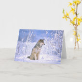 Timber Wolf in de sneeuw, Canis lupus Kaart (Gele Bloem)