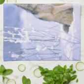 Timber Wolf in de sneeuw, Canis lupus, Theedoek (Gevouwen)