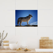 Timber Wolf in Montana - Big Sky Land Poster (Keuken)