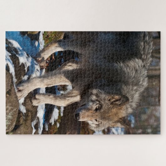 Timber Wolf Jigzaag Puzzle Legpuzzel (Horizontaal)
