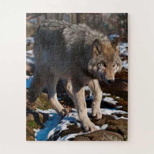 Timber Wolf Jigzaag Puzzle Legpuzzel (Verticaal)