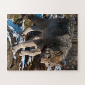 Timber Wolf Jigzaag Puzzle Legpuzzel (Horizontaal)