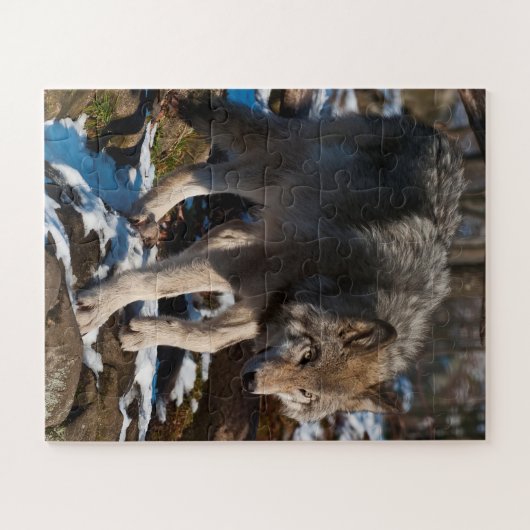 Timber Wolf Jigzaag Puzzle Legpuzzel (Horizontaal)
