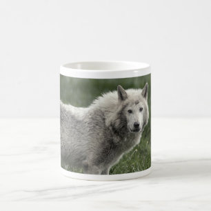 Timber wolf koffiemok