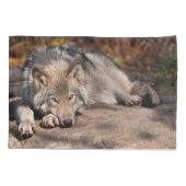 Timber Wolf Kussensloop (Achterkant)
