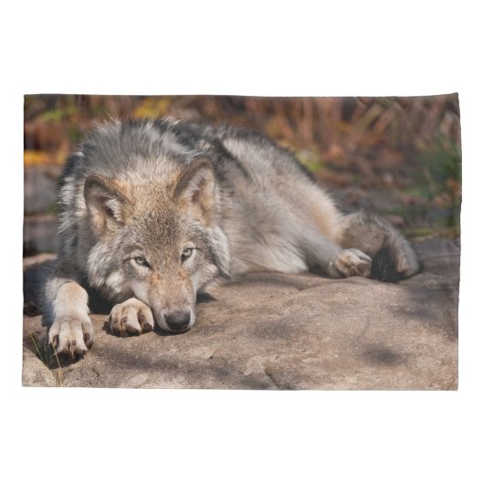 Timber Wolf Kussensloop (Achterkant)