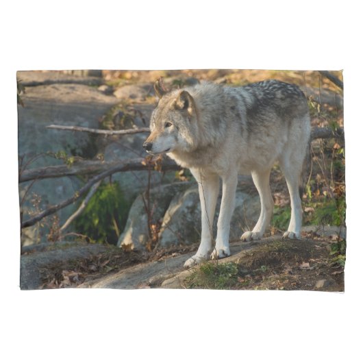 Timber Wolf Kussensloop (Voorkant)