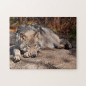 Timber Wolf Legpuzzel (Horizontaal)