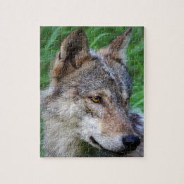 Timber Wolf Legpuzzel