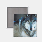 Timber wolf magneet (Voorkant / Achterkant)