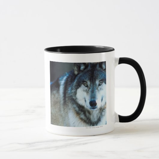Timber wolf mok (Rechts)