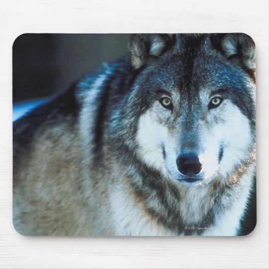 Timber wolf muismat (Voorkant)