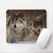 Timber Wolf Muismat (Met muis)