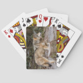 Timber Wolf Placemat Pokerkaarten (Achterkant)