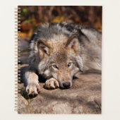 Timber Wolf Planner (Voorkant)