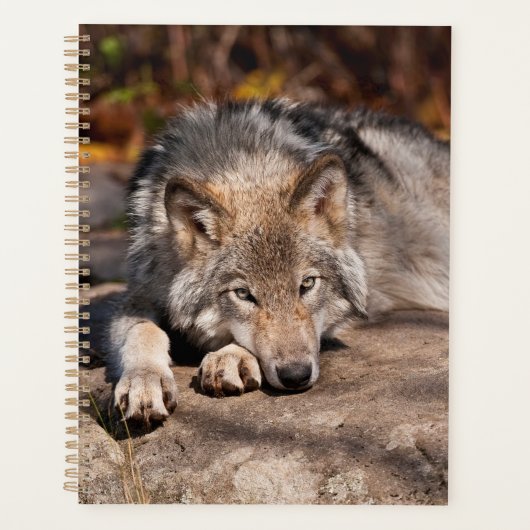 Timber Wolf Planner (Voorkant)