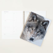 Timber Wolf Planner (Display)