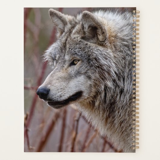 Timber Wolf Planner