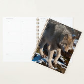 Timber Wolf Planner (Display)