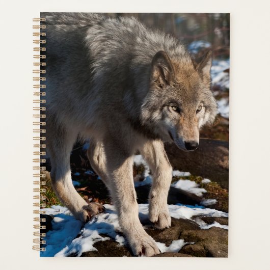 Timber Wolf Planner (Voorkant)