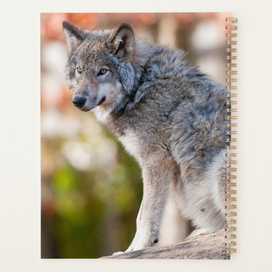 Timber Wolf Planner (Achterkant)