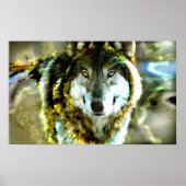 Timber-Wolf Poster van JungleWalk.com (Voorkant)
