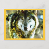 Timber Wolf Products van JungleWalk.com Briefkaart (Voorkant)
