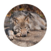 Timber Wolf Snijplank (Voorkant)