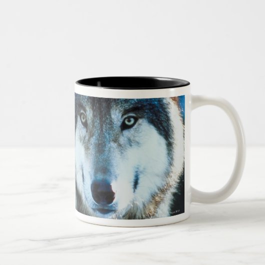 Timber wolf tweekleurige koffiemok (Rechts)