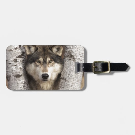 Timber wolf van Jim Zuckerman Bagagelabel (Voorkant horizontaal)