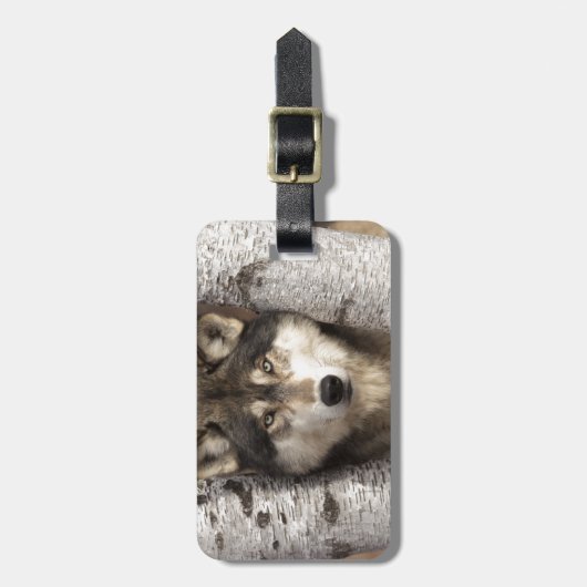 Timber wolf van Jim Zuckerman Bagagelabel (Voorkant verticaal)