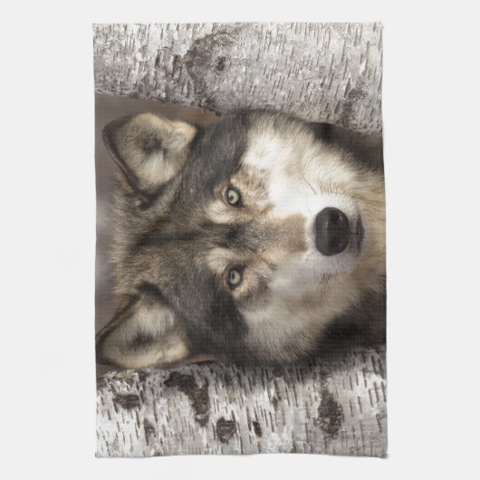 Timber wolf van Jim Zuckerman Theedoek (Verticaal)