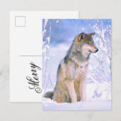 Timber Wolf-vergadering in sneeuw Feestdagenkaart (Voorkant / Achterkant)