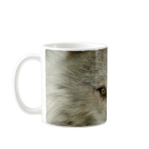 Timber Wolf Wildlife Fotografie