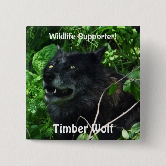 Timber Wolf Wildlife Fotopin Vierkante Button 5,1 Cm (Voorkant)